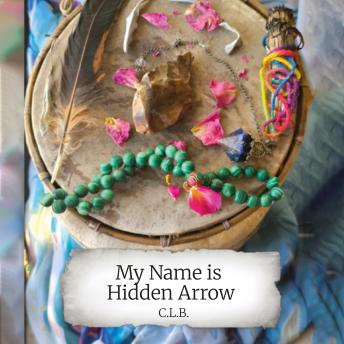 My Name is Hidden Arrow