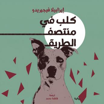 [Arabic] - كلب في منتصف الطريق