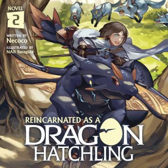 Reincarnated as a Dragon Hatchling (Light Novel) Vol. 2