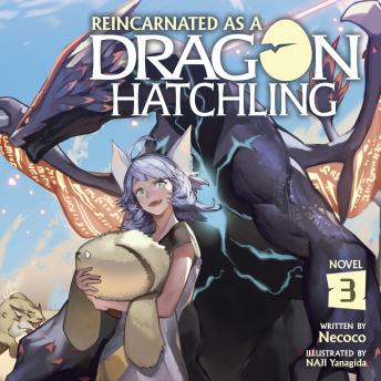 Reincarnated as a Dragon Hatchling (Light Novel) Vol. 3