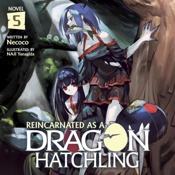 Reincarnated as a Dragon Hatchling (Light Novel) Vol. 5