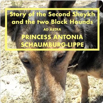 Story of the Second Sheykh and the two Black Hounds: Ad Astra Grand Classics