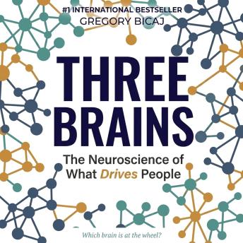 The Three Brains: The Neuroscience of What Drives People