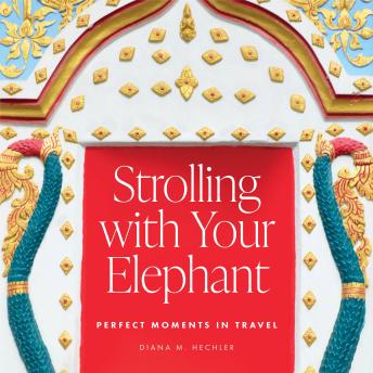 Download Strolling with Your Elephant: Perfect Moments in Travel by Diana M. Hechler
