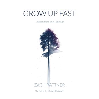 Grow Up Fast: Lessons from an AI Startup
