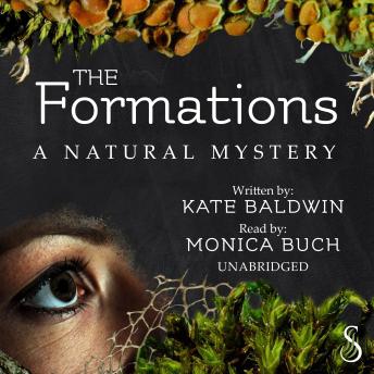 Download Formations: A Natural Mystery by Kate Baldwin