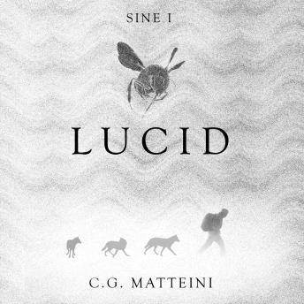 Lucid