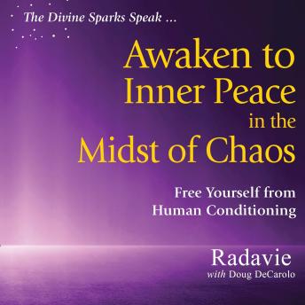 Divine Spark Speaks: Awaken to Inner Peace In The Midst of Chaos: Free Yourself from Human Conditioing - Doug DeCarlo