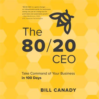Download 80/20 CEO: Take Command of Your Business in 100 days by Bill Canady