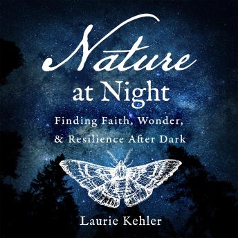 Nature at Night: Finding Faith, Wonder & Resilience After Dark