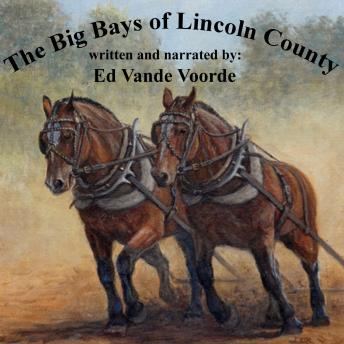The Big Bays of Lincoln County