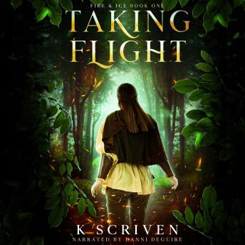 Taking Flight
