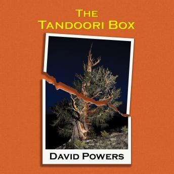 The Tandoori Box
