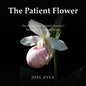 The Patient Flower: The Hidden Lives of North America's Native Lady's Slipper Orchids