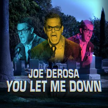 You Let Me Down, Audio book by Joe DeRosa