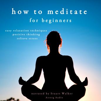 How to Meditate (for Beginners), Audio book by John Mac