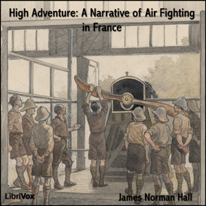High Adventure A Narrative of Air Fighting in France sample.