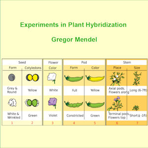 Experiments on Plant Hybridisation sample.