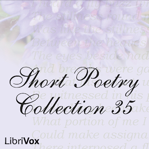 Short Poetry Collection 035