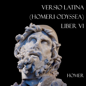 Versio Latina (Homeri Odyssea) Liber VI, Audio book by Homer 
