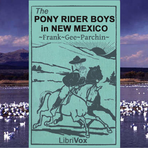 The Pony Rider Boys in New Mexico
