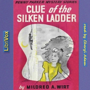 The Clue of the Silken Ladder