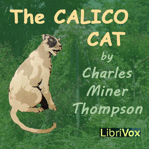 The Calico Cat (Version 2)