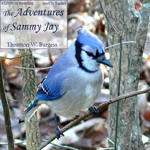 Download Adventures of Sammy Jay by Thornton W. Burgess