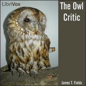 The Owl Critic