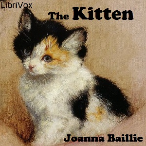 The Kitten