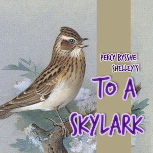 To A Skylark
