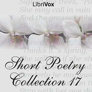 Short Poetry Collection 017