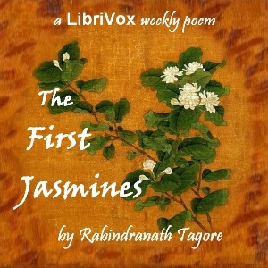 The First Jasmines