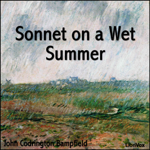 Sonnet on a Wet Summer