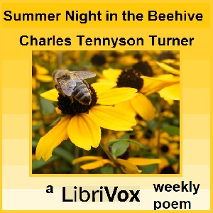 A Summer Night in the Beehive