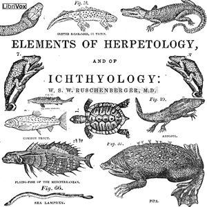 The Elements of Herpetology and Ichthyology