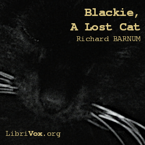 Blackie, A Lost Cat