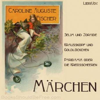 Märchen, Audio book by Caroline Auguste Fischer