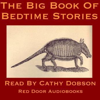 Big Book Of Bedtime Stories, Audio book by Various Authors 