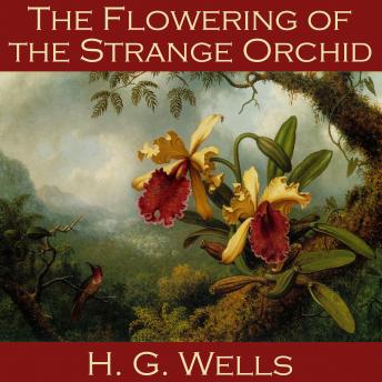 The Flowering of  Strange Orchid