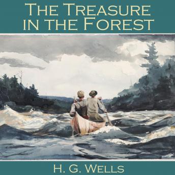 The Treasure in the Forest