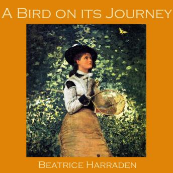 A Bird on its Journey
