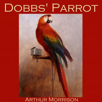 Dobbs' Parrot