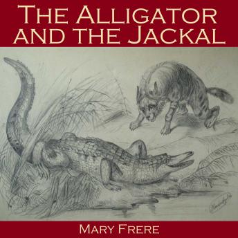 Alligator and the Jackal sample.
