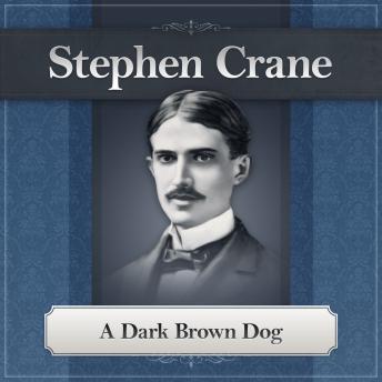A Dark Brown Dog: A Stephen Crane Story
