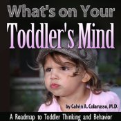 What's on Your Toddler's Mind: A Roadmap to Toddler Thinking and Behavior