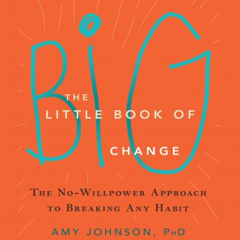 Download Little Book of Big Change: The No-Willpower Approach to Breaking Any Habit by Amy Johnson, PhD