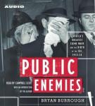 Public Enemies Audiobook