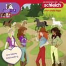 [German] - Folge 20: Eine falsche Entscheidung Audiobook