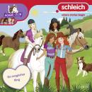 [German] - Folge 24: Ein magischer Ring Audiobook